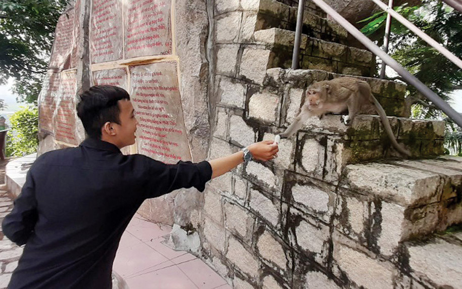 An Giang: Loài thú hoang bồng bế nhau ở núi Kéc, xin phồng tôm nhai rôm rốp, mê đàn bà hơn đàn ông