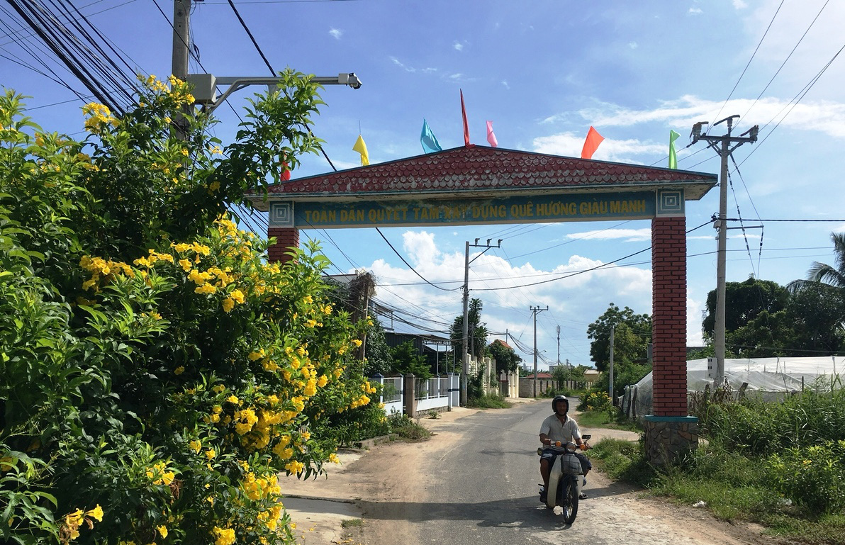 Ninh Thuận: Rực rỡ tuyến đường hoa ở nông thôn - Ảnh 3.