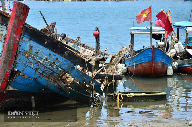 Quảng Ngãi: Nhếch nhác nghĩa địa tàu cá ở phường Phổ Thạnh  - Ảnh 4.