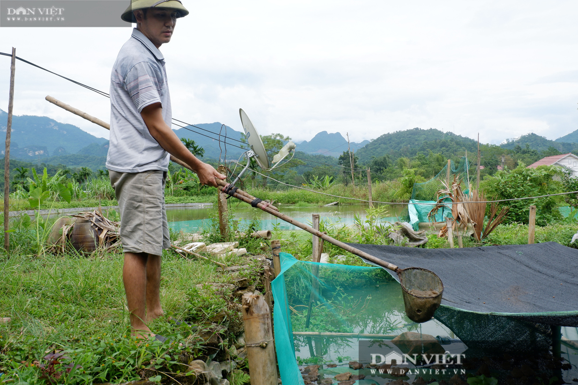 Hà Giang: Trang trại tổng hợp, nuôi đủ thứ con đặc sản của trai đẹp ở miền núi đá  - Ảnh 1.