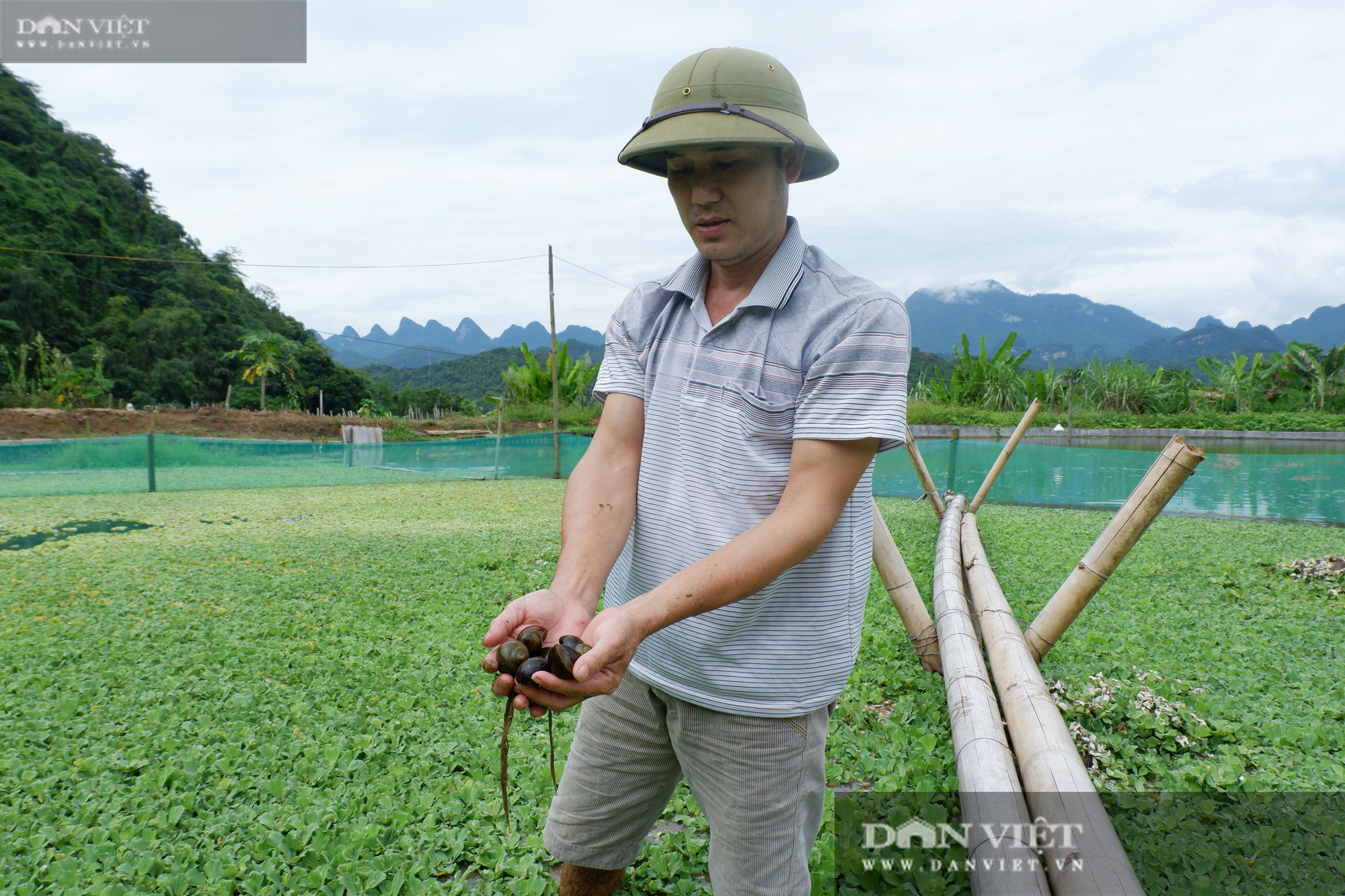 Hà Giang: Trang trại tổng hợp, nuôi đủ thứ con đặc sản của trai đẹp ở miền núi đá  - Ảnh 4.