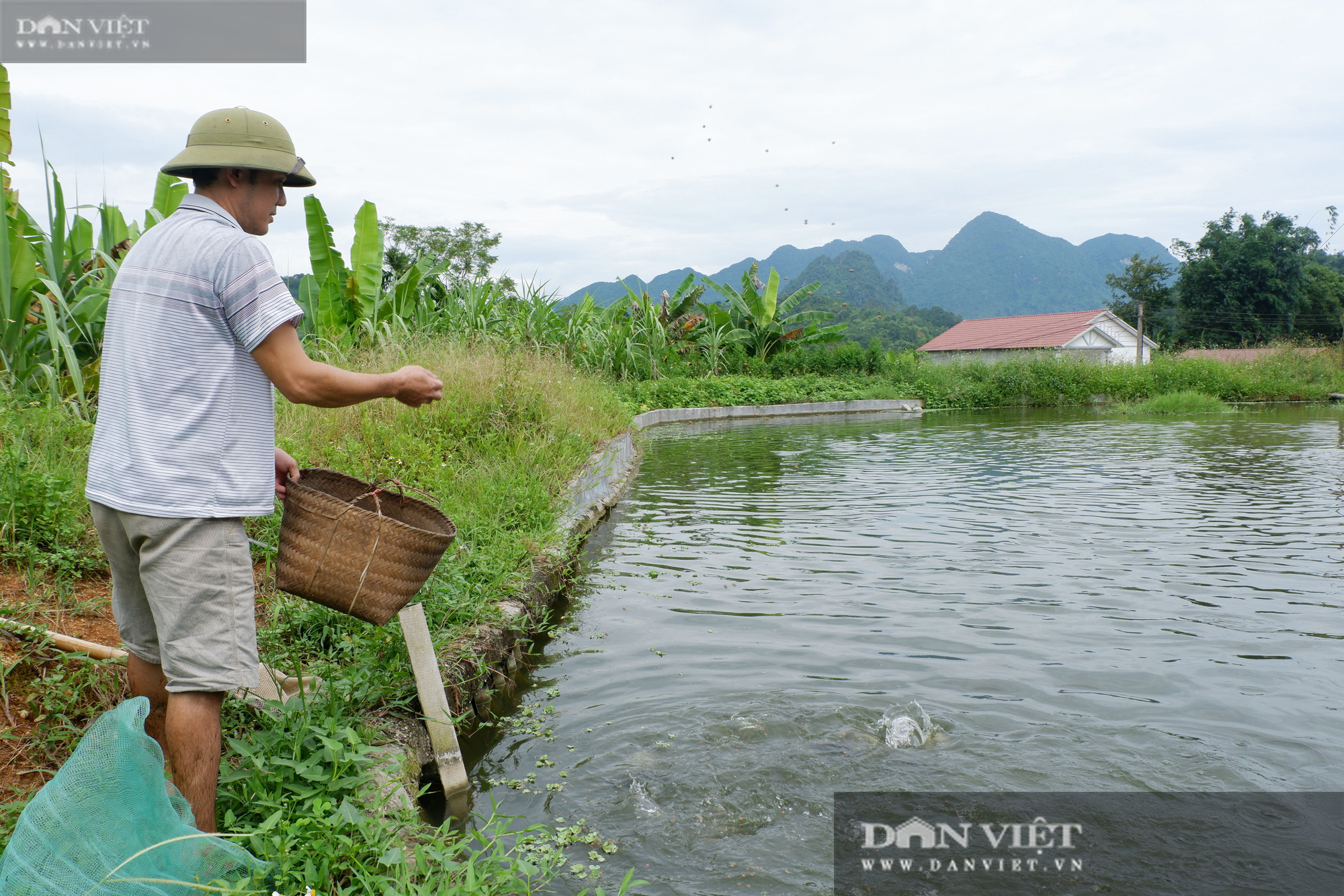 Hà Giang: Trang trại tổng hợp, nuôi đủ thứ con đặc sản của trai đẹp ở miền núi đá  - Ảnh 10.