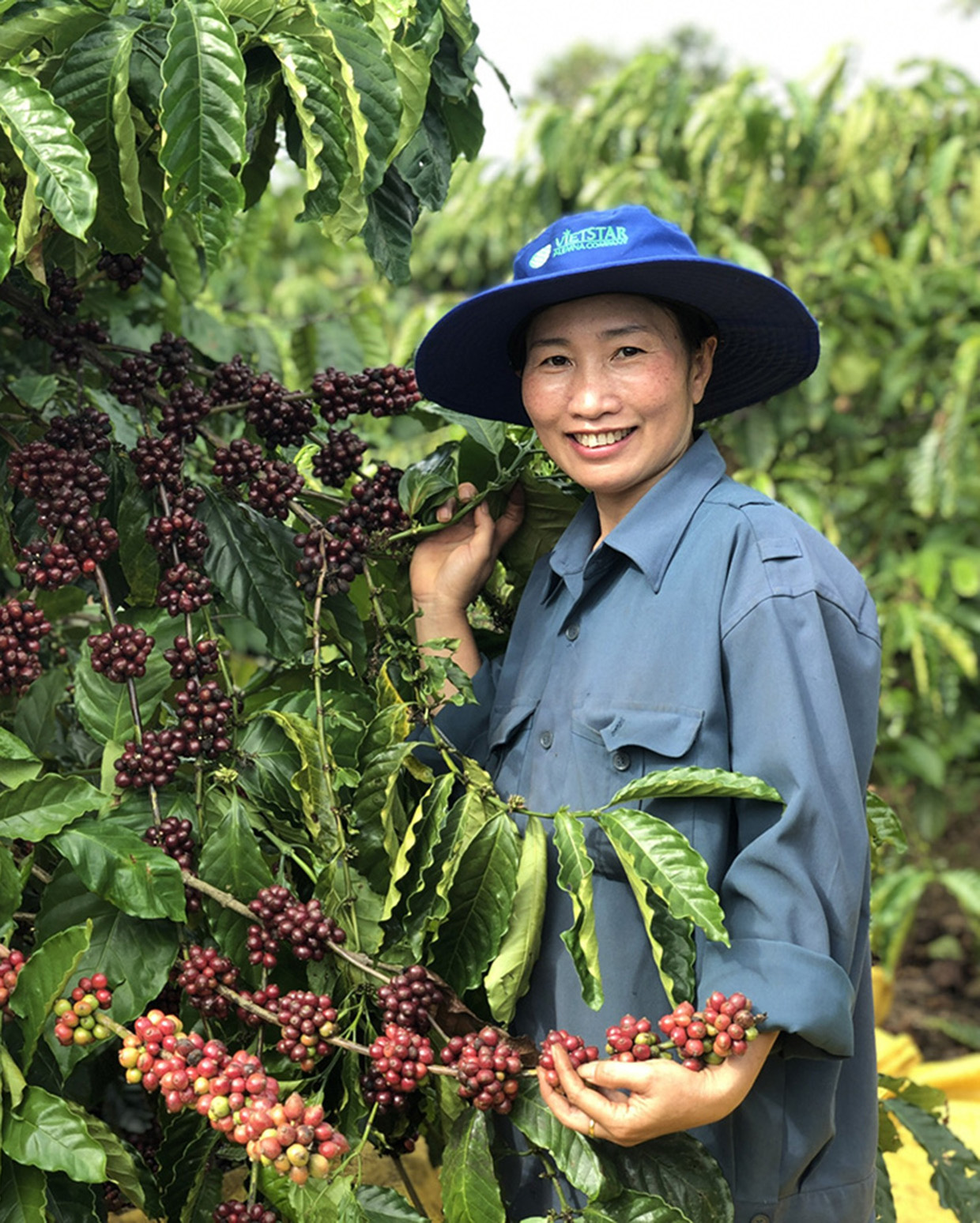 &quot;Bóng hồng&quot; quyền lực nông dân Việt Nam xuất sắc 2020: Những cái tên vàng trong làng nuôi trồng cây con đặc sản - Ảnh 2.