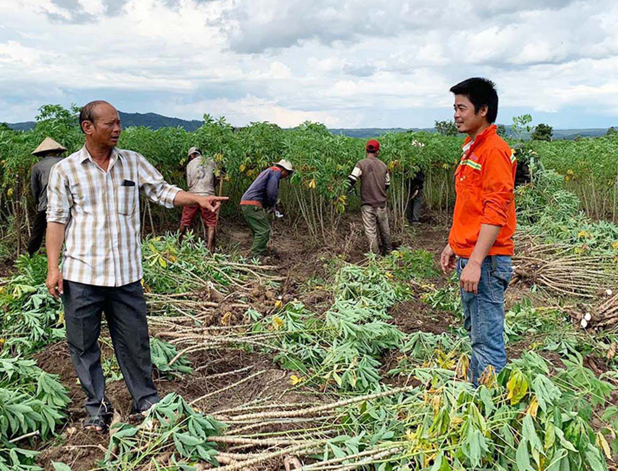 Trồng thứ cây gì lãi hàng trăm triệu mà một ông nông dân mồ côi thành tỷ phú ở tỉnh Gia Lai? - Ảnh 1.