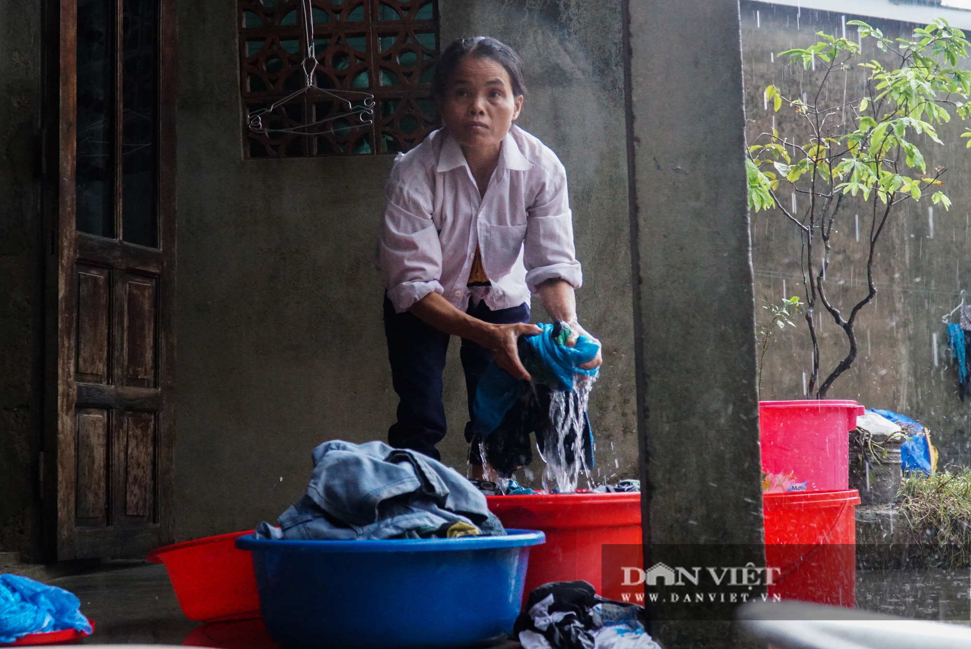 Người dân Quảng trị khóc ròng vì lúa mọc mầm, nhà cửa tan hoang sau lũ - Ảnh 10.