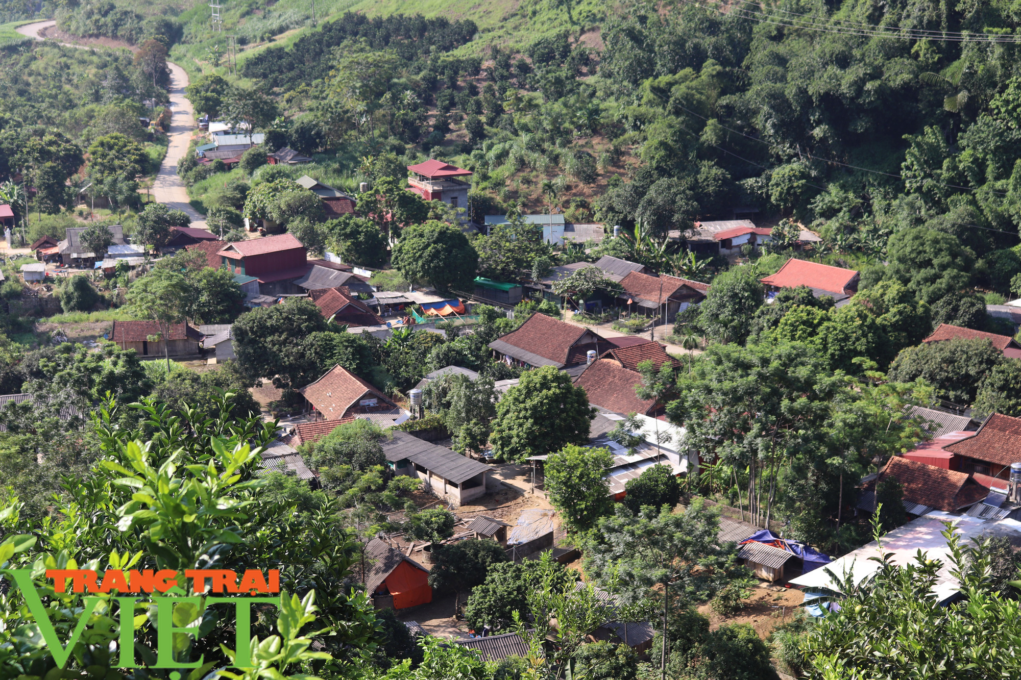 “Đầu tàu” ở bản Nghĩa Hưng - Ảnh 15.