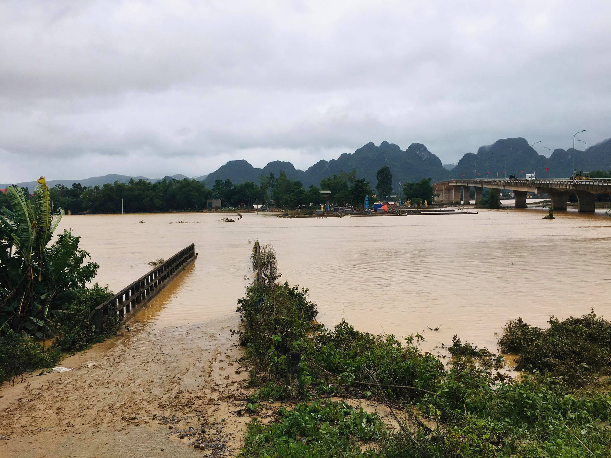 Người dân Quảng Bình đưa trâu bò lên cầu bắc qua sông Gianh &quot;chạy&quot; lũ lịch sử - Ảnh 8.