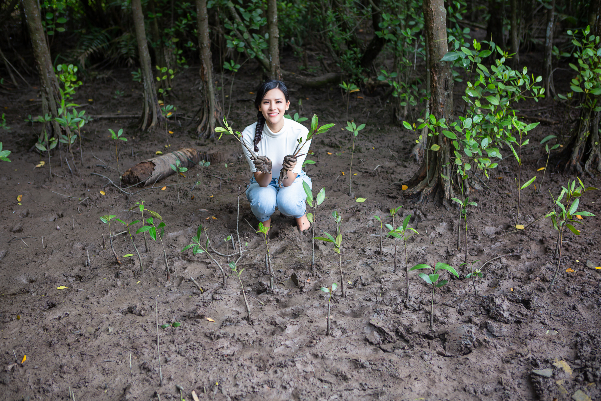 Miss Earth Vietnam 2020 Thái Thị Hoa làm video cảnh báo về nạn chặt phá rừng vô tội vạ  - Ảnh 3.