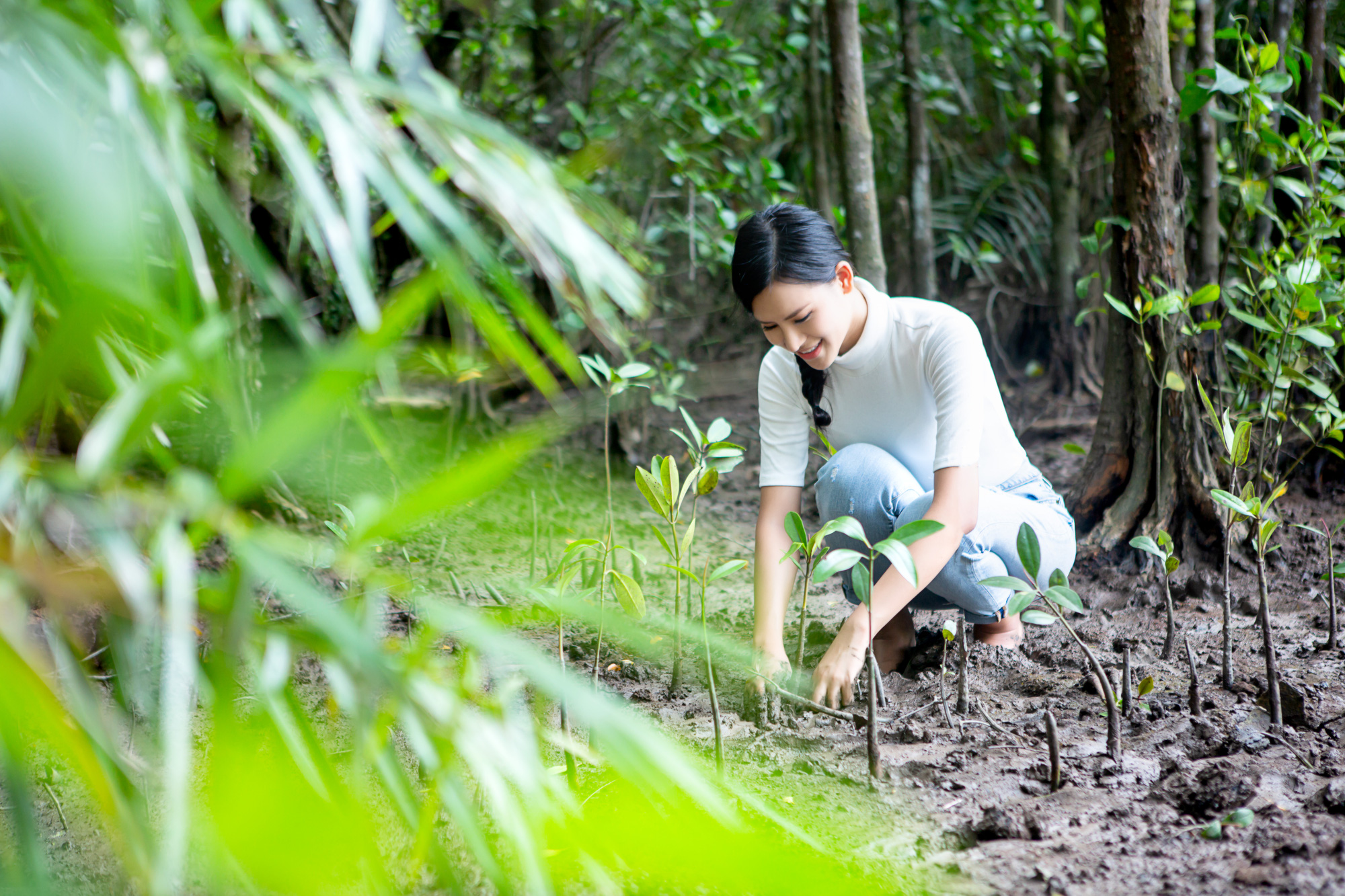 Miss Earth Vietnam 2020 Thái Thị Hoa làm video cảnh báo về nạn chặt phá rừng vô tội vạ  - Ảnh 2.