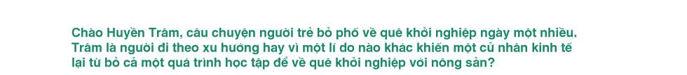 CEO đưa rau củ Đà Lạt lên Amazon: Làm nông nghiệp sạch phải có đủ đam mê, càng làm càng thấy có nhiều thứ cần - Ảnh 2.