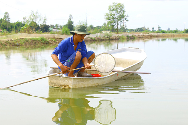 2 ông nông dân tỉnh Đồng Tháp nuôi loài cá đặc sản gì màv con nào bán cũng đắt, thương lái tranh nhau mua? - Ảnh 4.