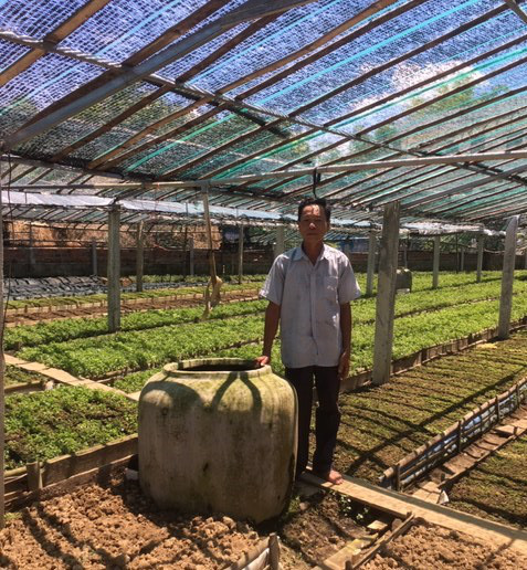 Quảng Nam: Một ông nông dân mang rau dại về vườn trồng chăm như chăm con mọn và bất ngờ lãi lớn - Ảnh 1.