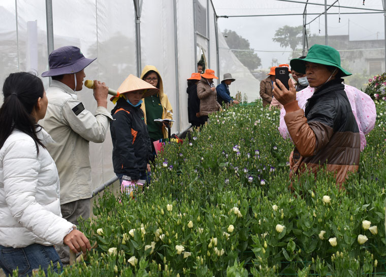 Cát tường cánh đơn là loài hoa gì, đẹp, đắt cỡ nào mà ở đây mở hẳn 1 hội thảo, nhiều nông dân đến xem? - Ảnh 1.