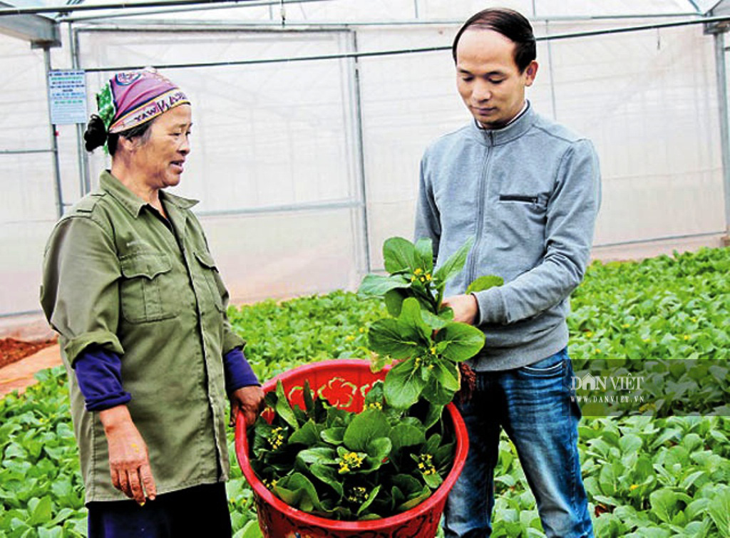 Bắc Giang: “Trải thảm đỏ” thu hút đầu tư vào nông nghiệp - Ảnh 1.