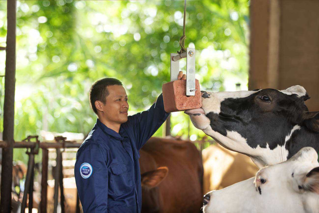 Cô Gái Hà Lan và hành trình kiến tạo giá trị cho ngành chăn nuôi bò sữa bền vững - Ảnh 2.