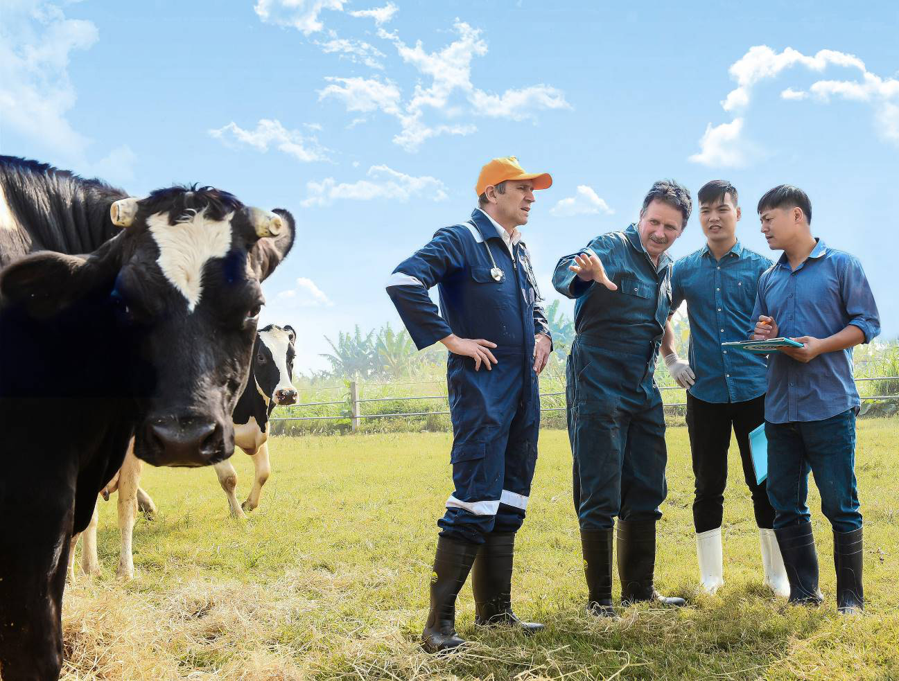 Cô Gái Hà Lan và hành trình kiến tạo giá trị cho ngành chăn nuôi bò sữa bền vững - Ảnh 3.