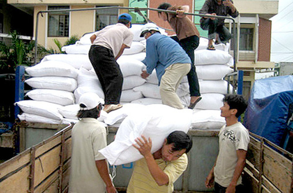Bổ sung 274 tỷ đồng từ nguồn dự phòng ngân sách để mua gạo cứu trợ - Ảnh 1.