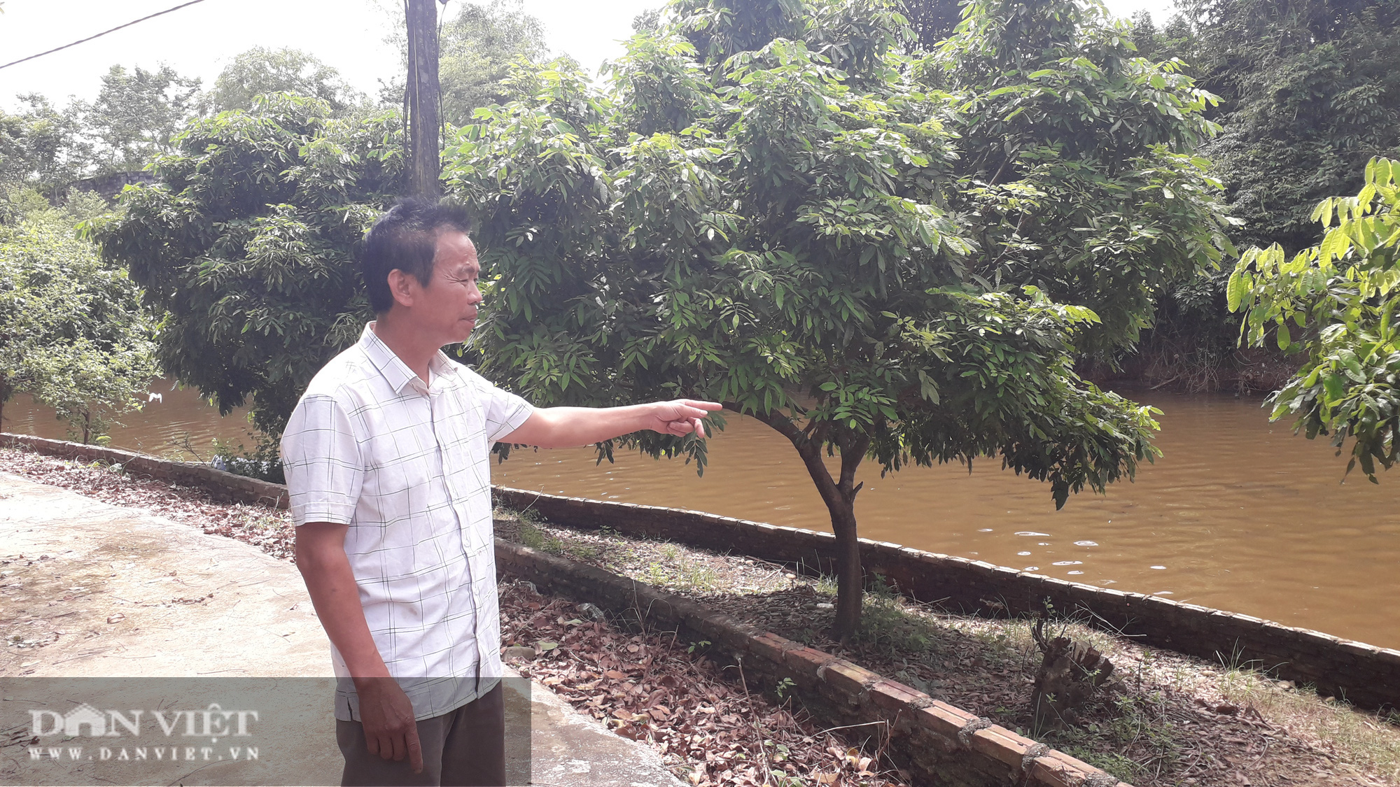 Thái Nguyên: Giật mình với kết quả quan trắc trong vụ cá chết hàng loạt tại Sông Công - Ảnh 1.