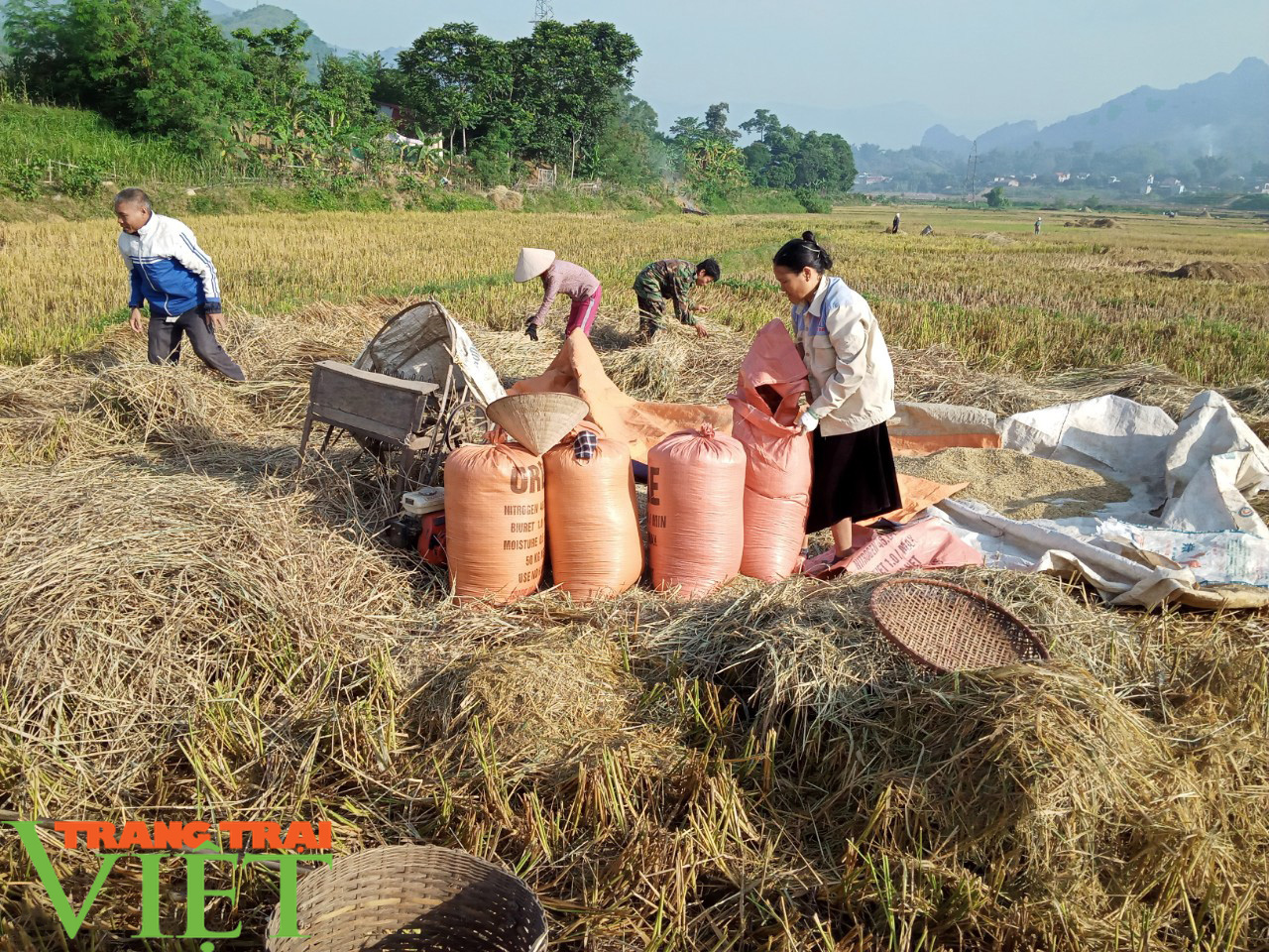 Xã vùng 3 Tường Phù chuẩn bị cán đích nông thôn mới - Ảnh 2.