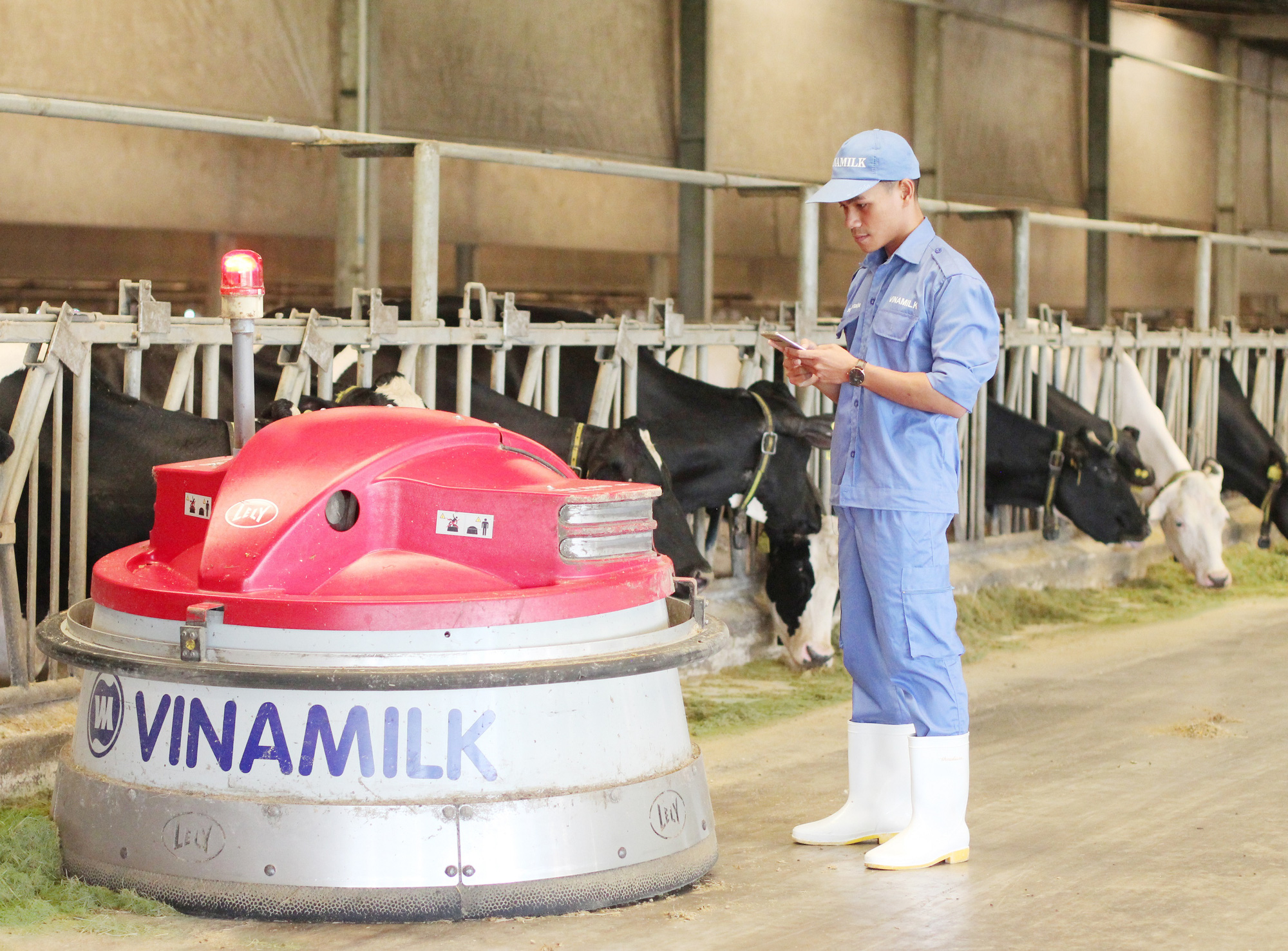 Vinamilk 3 năm liên tiếp là nơi làm việc tốt nhất Việt Nam - Ảnh 10.