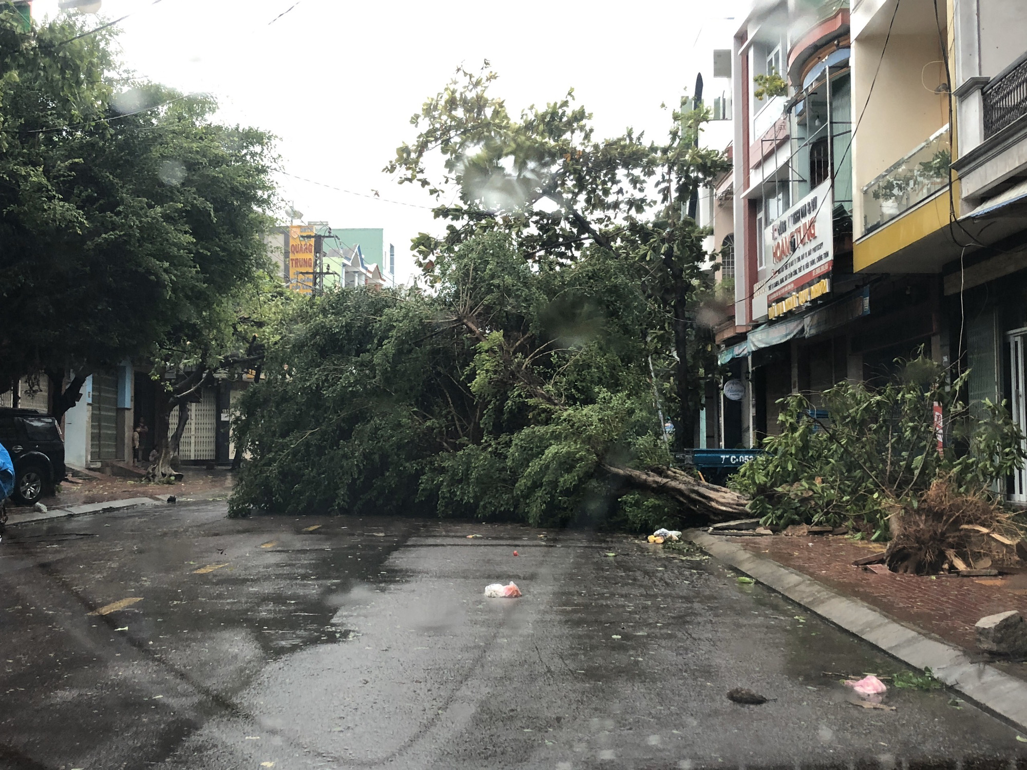 Hình ảnh thiệt hại đầu tiên ở TP.Quy Nhơn trong bão số 9 - Ảnh 1.