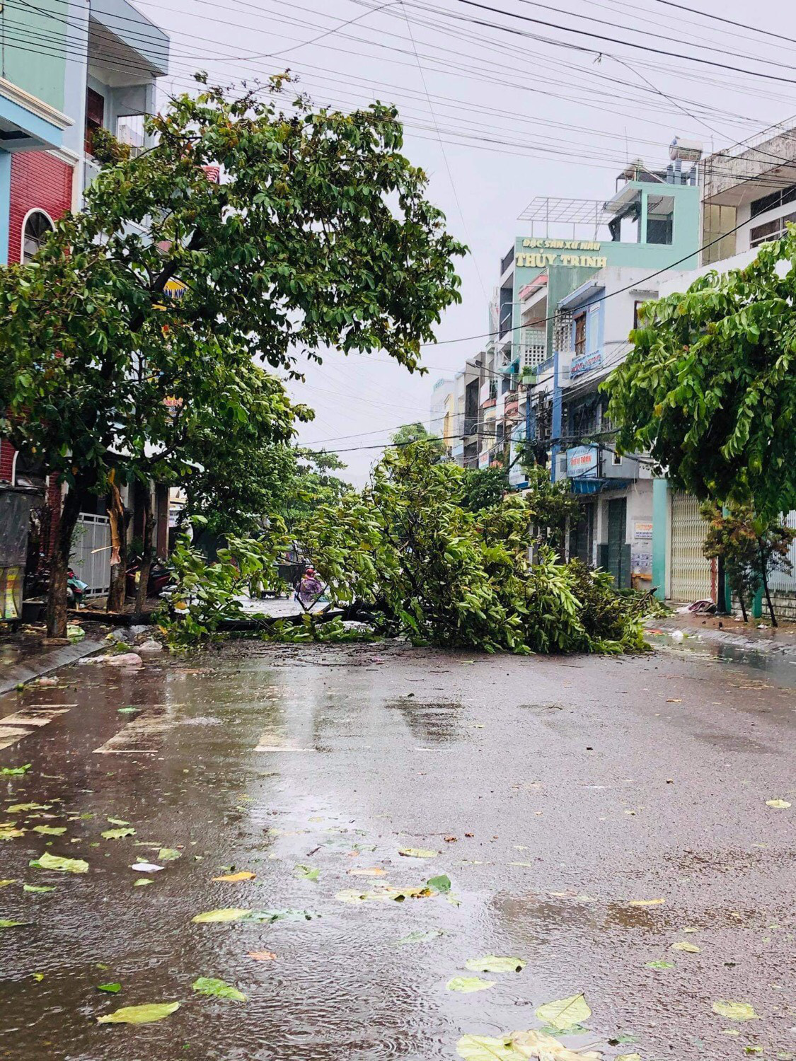 Hình ảnh thiệt hại đầu tiên ở TP.Quy Nhơn trong bão số 9 - Ảnh 7.