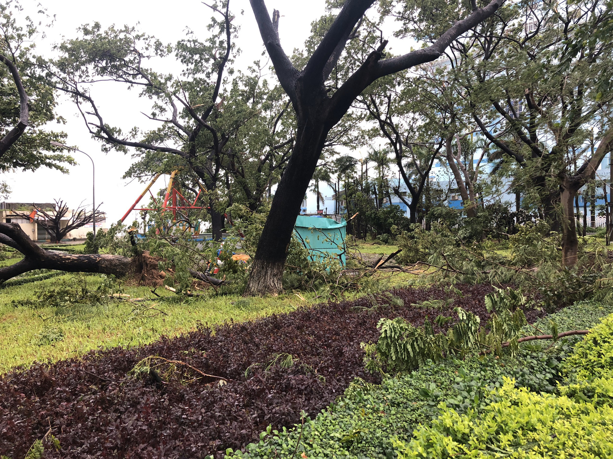 Hình ảnh thiệt hại đầu tiên ở TP.Quy Nhơn trong bão số 9 - Ảnh 4.
