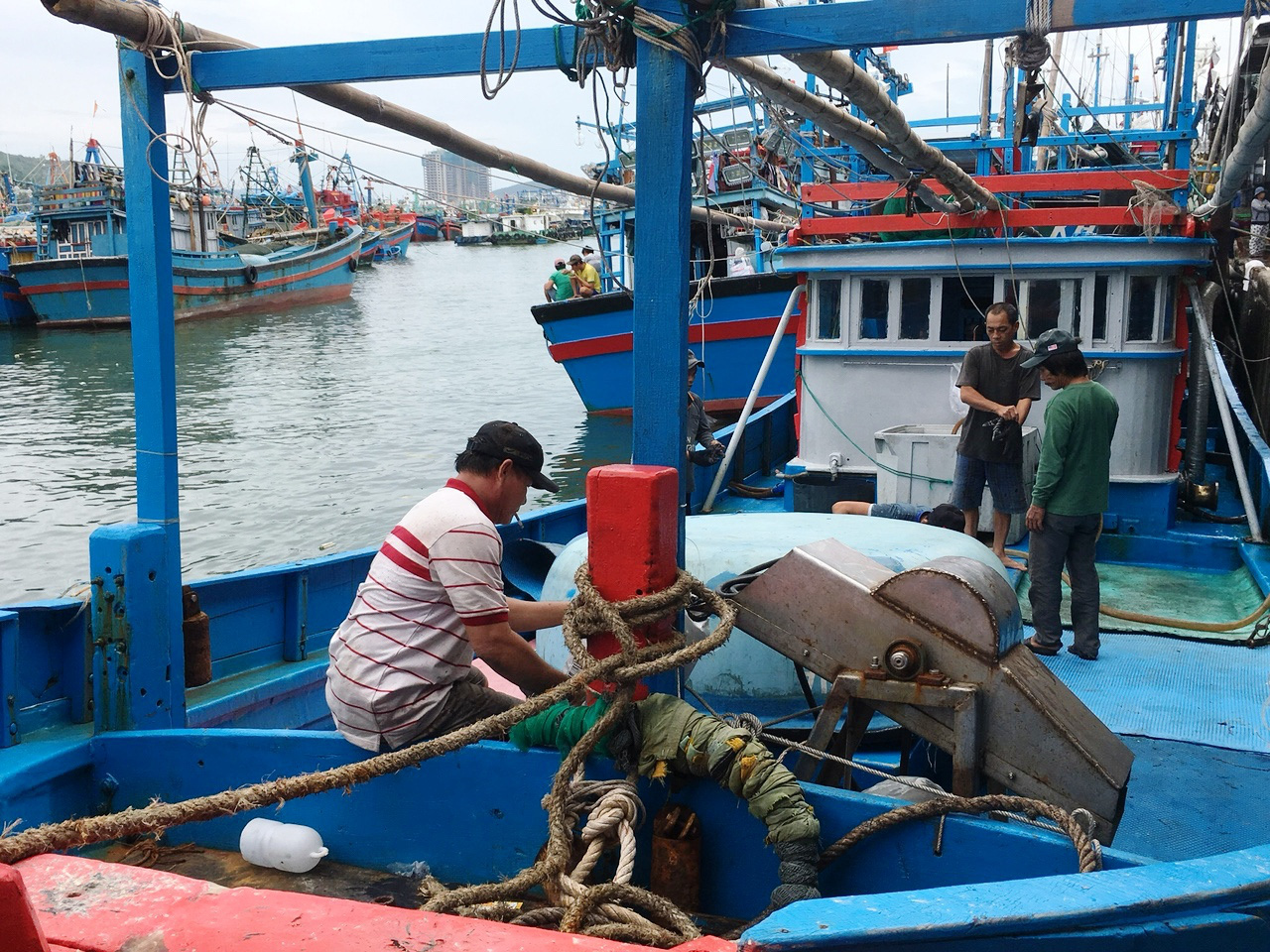 Tàu tấp nập vào bờ, Ngư dân Khánh Hòa hối hả bán hải sản tránh bão - Ảnh 2.