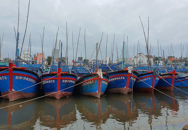 Bão số 9: Bình Định kêu gọi cứu hộ 8 tàu cá gặp nguy hiểm, phát tín hiệu cầu cứu trên biển - Ảnh 1.