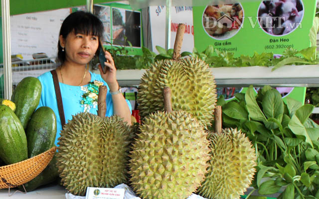 Bưởi, bơ, dừa, sầu riêng… đang được thúc đẩy xuất khẩu chính ngạch vào Trung Quốc - Ảnh 1.