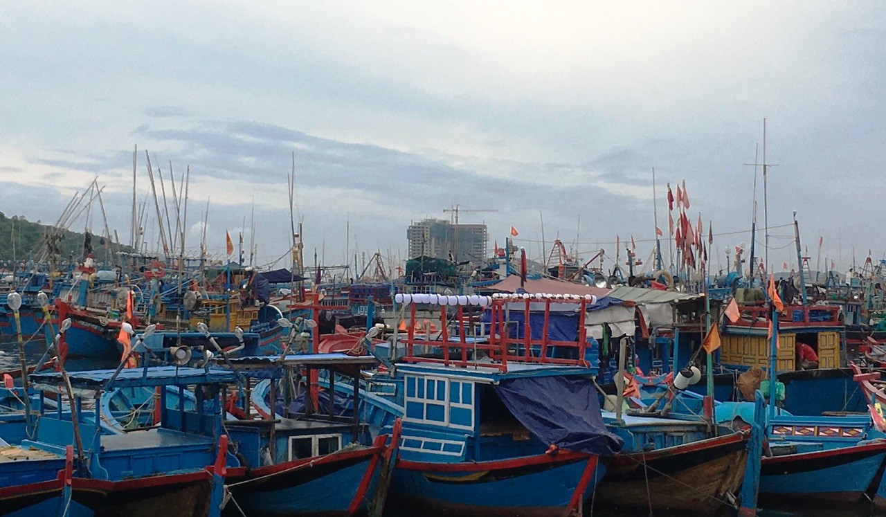 Khánh Hòa: Ngưng các hoạt động đánh bắt, vận chuyển, lưu thông trên biển kể từ 18 giờ - Ảnh 1.