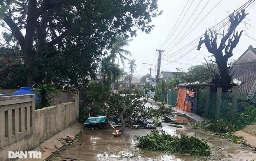 Đảo Lý Sơn tan hoang nhà cửa, tàu thuyền sau khi bão số 9 quét qua - Ảnh 5.