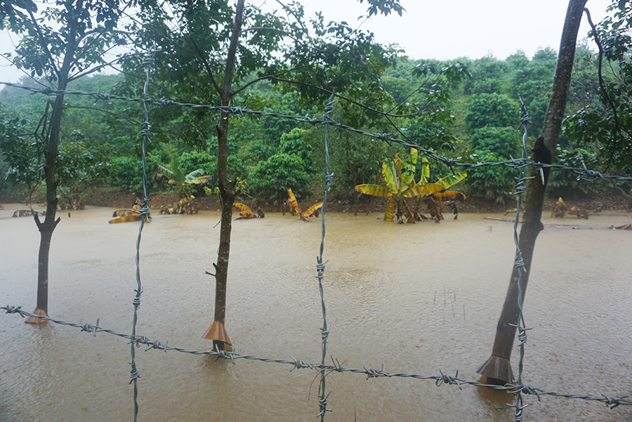 Thủy điện tích nước vô lối ở tỉnh Kon Tum: Vẫn ngoan cố tích nước trong ngày bão số 9 - Ảnh 5.