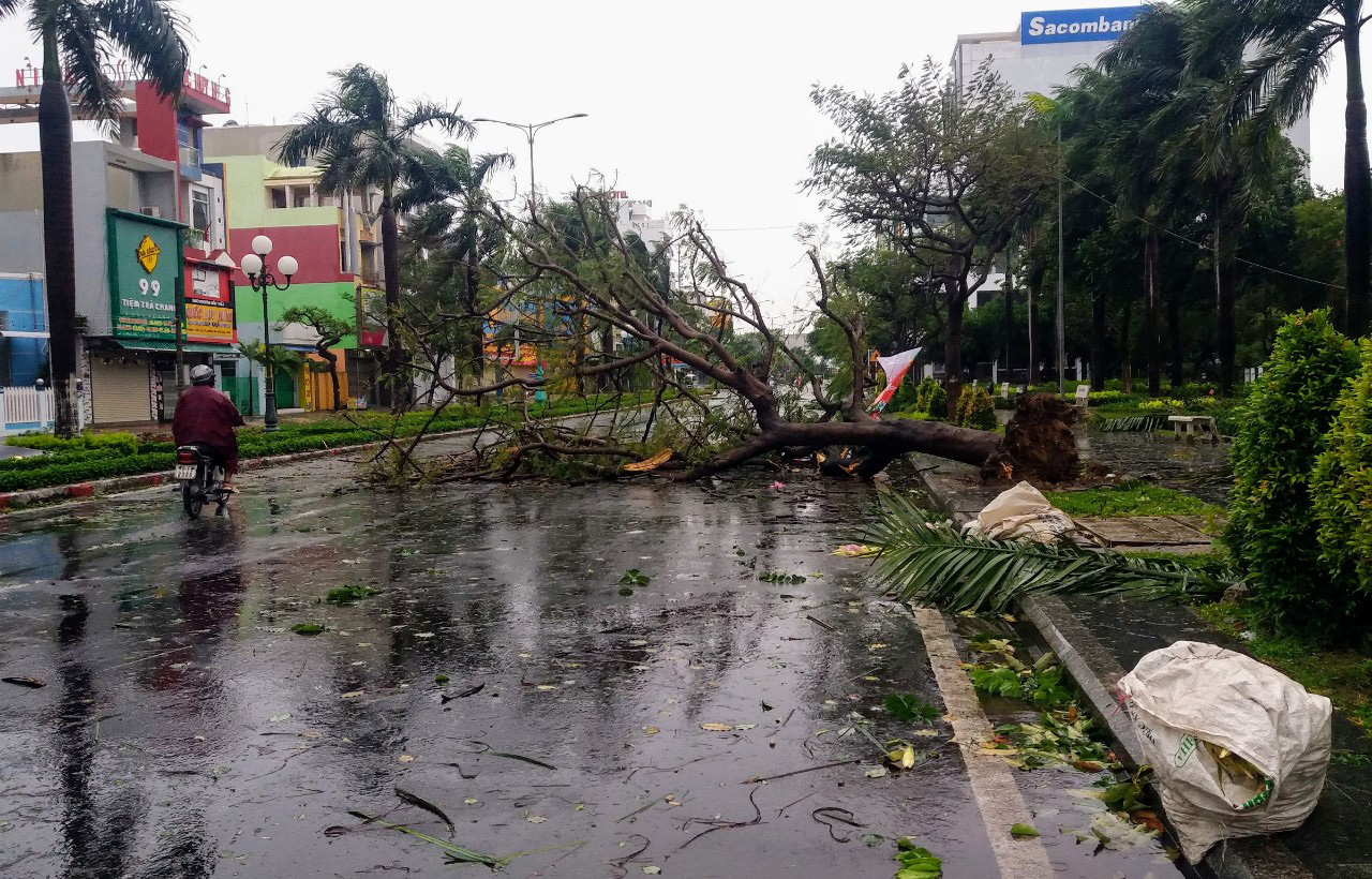 Bão số 9: Phú Yên đã có người chết, nhiều nhà dân bị sập  - Ảnh 1.