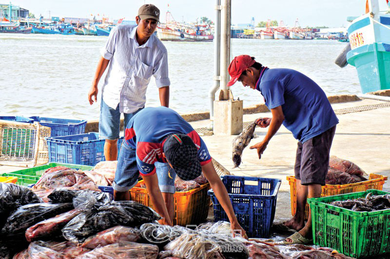 Cà Mau: Thực hiện tốt Luật Thủy sản, gắn với chống khai thác hải sản bất hợp pháp đến ngư dân - Ảnh 1.