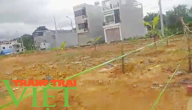 Sơn La: Lùm xùm về việc cấp đất tái định cư Bệnh viện Đa khoa 550 giường - Ảnh 4.