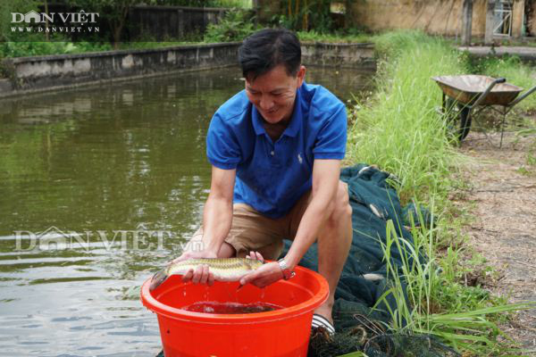 Ở nơi nuôi hàng nghìn con cá quý hiếm, đều là &quot;Ngũ quý hà thủy&quot;,  - Ảnh 3.