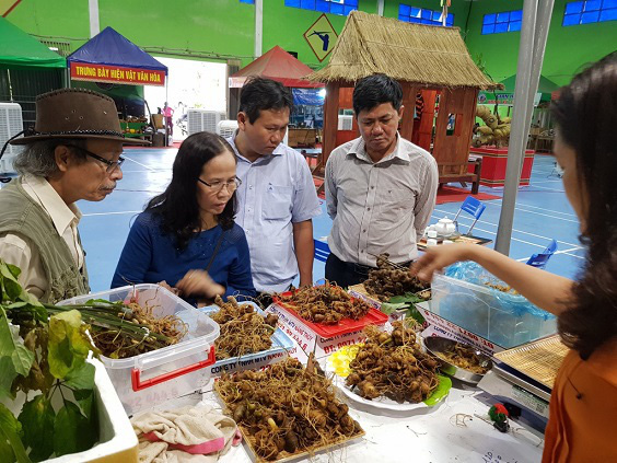 Sau vụ sạt lở ở Trà Leng, huyện Nam Trà My dừng phiên chợ sâm để đảm bảo an toàn cho dân - Ảnh 1.