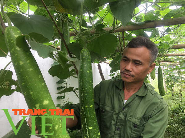 Hội Nông dân huyện Kim Bôi: Triển khai hiệu quả công tác dạy nghề cho hội viên - Ảnh 1. Hội Nông dân huyện Kim Bôi: Triển khai hiệu quả công tác dạy nghề cho hội viên - Ảnh 1.