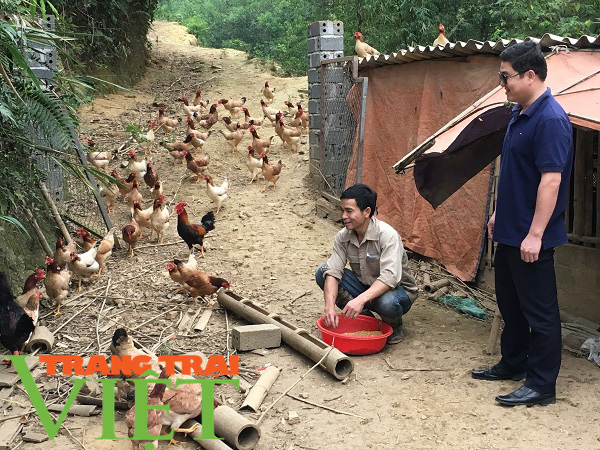 Hội Nông dân huyện Kim Bôi: Triển khai hiệu quả công tác dạy nghề cho hội viên - Ảnh 3. Hội Nông dân huyện Kim Bôi: Triển khai hiệu quả công tác dạy nghề cho hội viên - Ảnh 3.