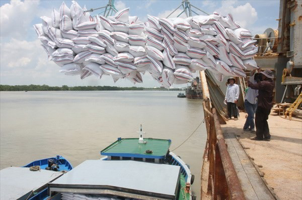 Giá gạo xuất khẩu tuần qua ở Ấn Độ, Việt Nam, Thái Lan đều giảm - Ảnh 1.