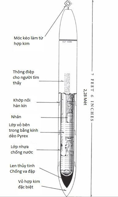 Thông điệp từ Einstein tới loài người 5.000 năm sau - Ảnh 2.