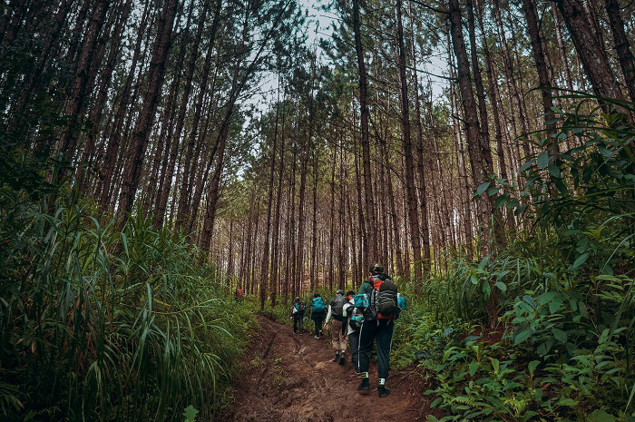 Tour du lịch chữa lành đầu tiên tại Hà Nội  - Ảnh 2.