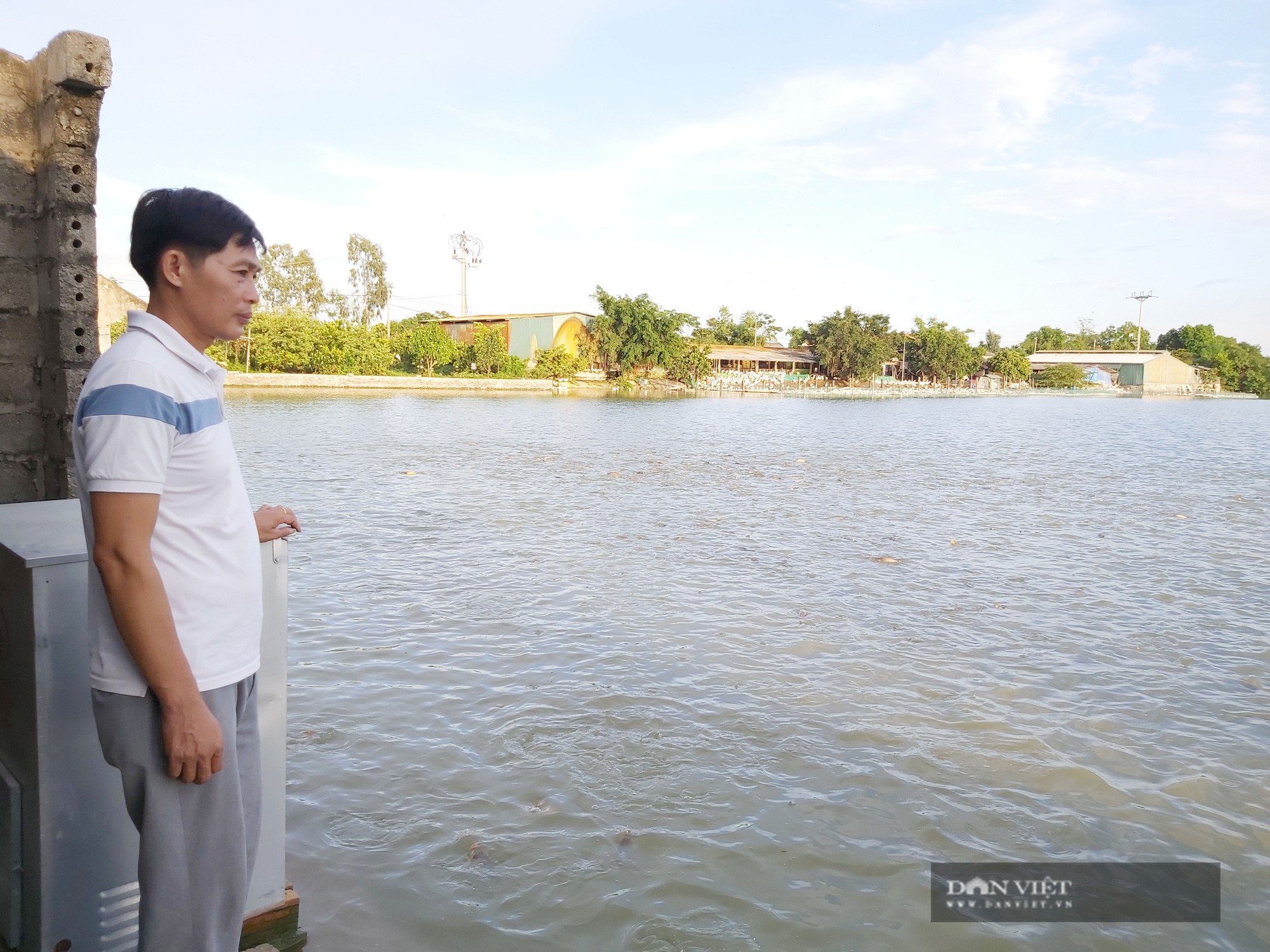 Hà Nội: Trang trại rộng 10ha nuôi vịt, cá cho 4 triệu quả trứng, 100 tấn cá, một nông dân thu lãi 700 triệu/năm - Ảnh 2.