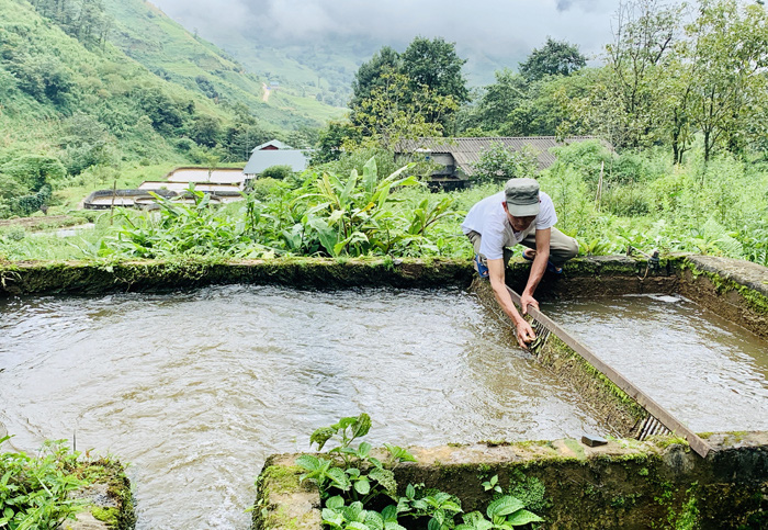 Kỳ lạ, nông dân be bờ đào ao lưng chừng núi nuôi thứ cá đặc sản bán đắt tiền ở Sa Pả, Sa Pa - Ảnh 3.