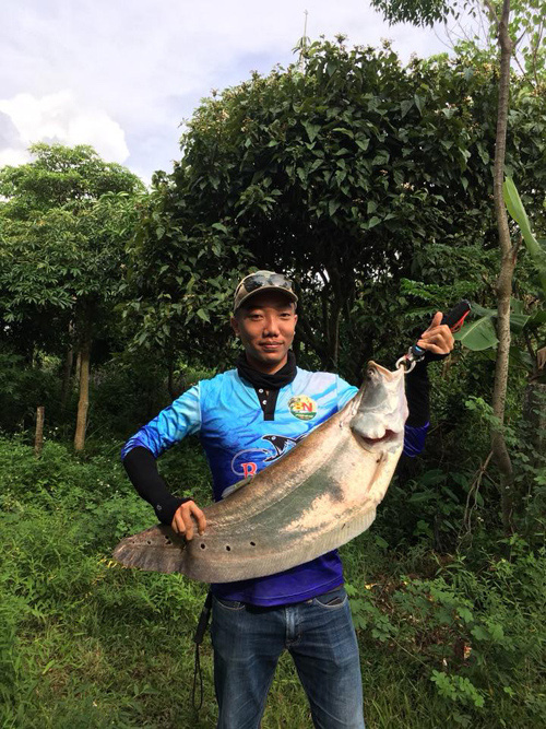 Cá thác lác sông ở tỉnh Kon Tum là loài cá gì mà khiến dân ở đây bắt được là cả nhà vui mừng? - Ảnh 4.