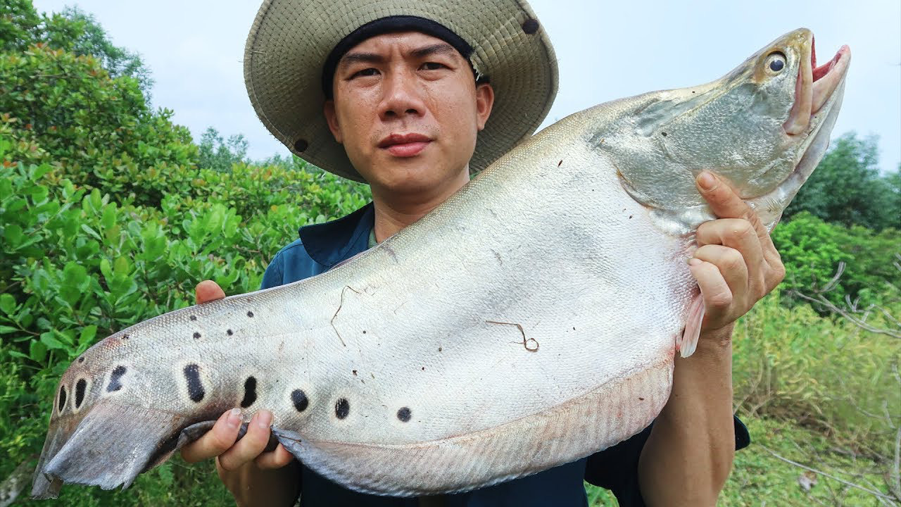 Cá thác lác sông ở tỉnh Kon Tum là loài cá gì mà khiến dân ở đây bắt được là cả nhà vui mừng? - Ảnh 3.