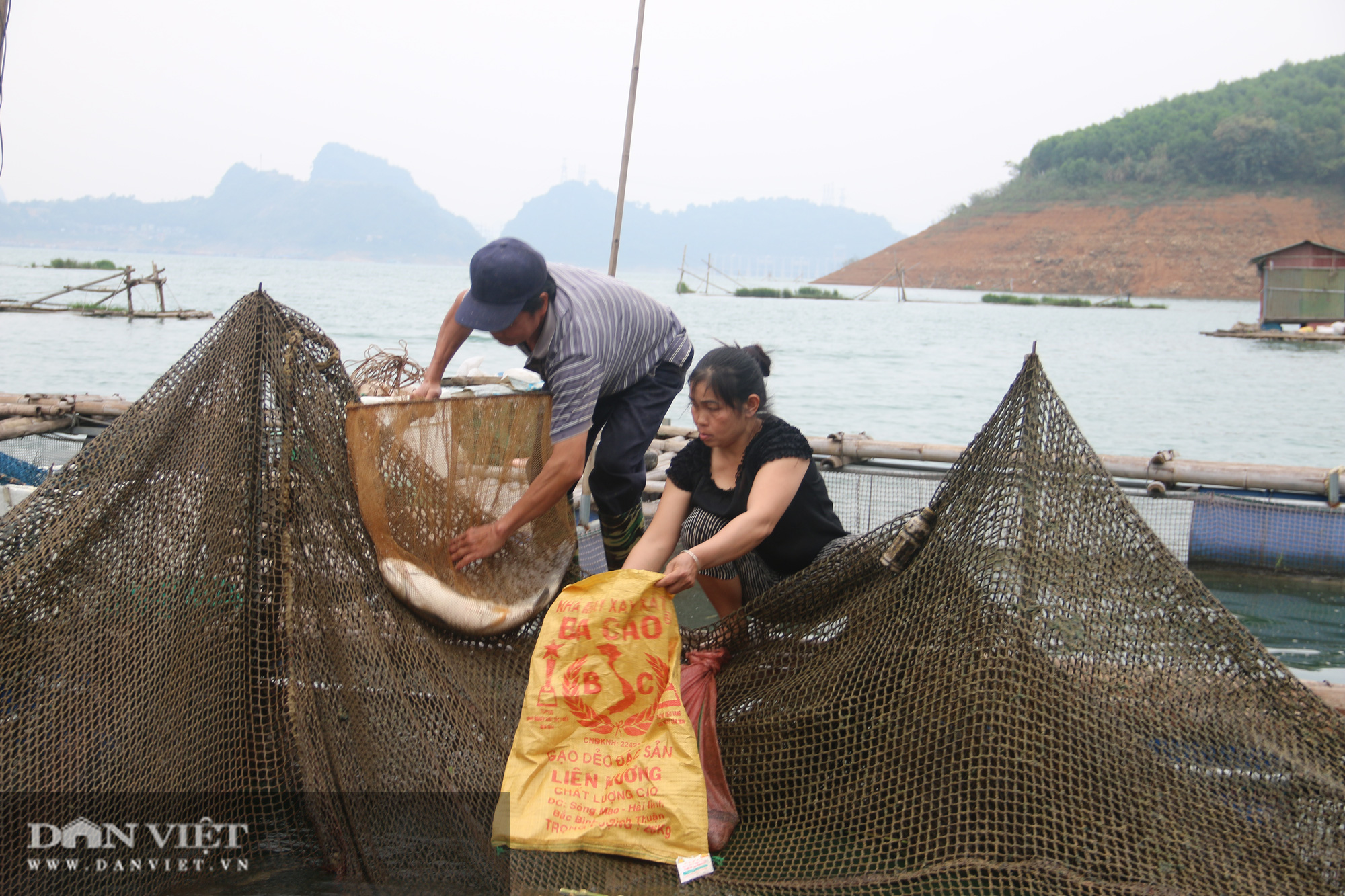 Nuôi cá lồng bằng cỏ tưởng bết bát, ai ngờ lãi lớn - Ảnh 3.