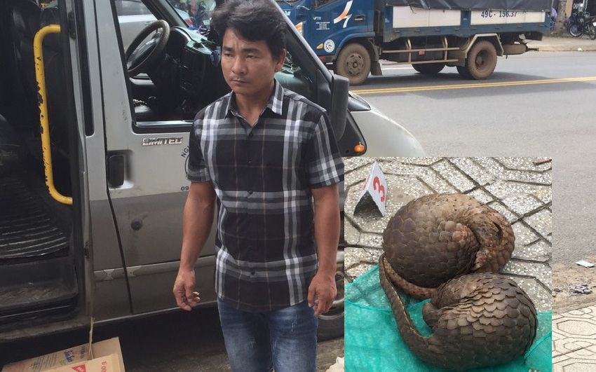 Lâm Đồng: Mới phạt một người gần 300 triệu, lại phát hiện tài xế vận chuyển động vật hoang dã