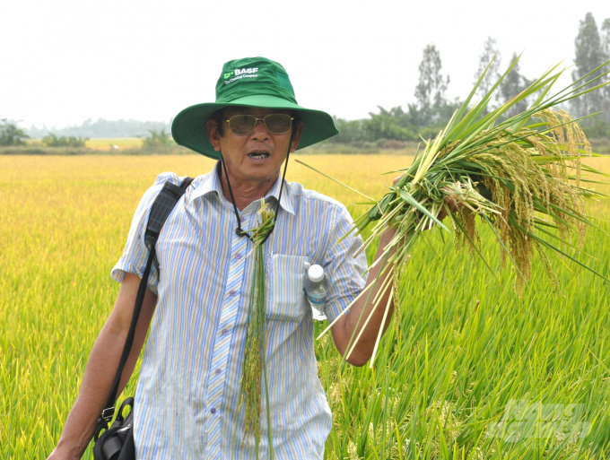 'Cha đẻ' gạo ST25 vẫn âm thầm nâng tầm gạo Việt - Ảnh 3.